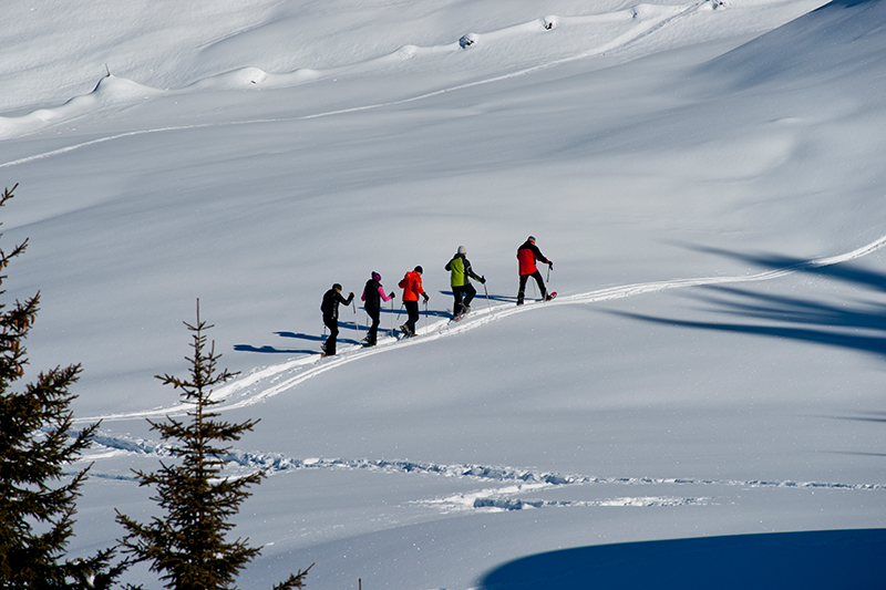 Schneeschuhwandern